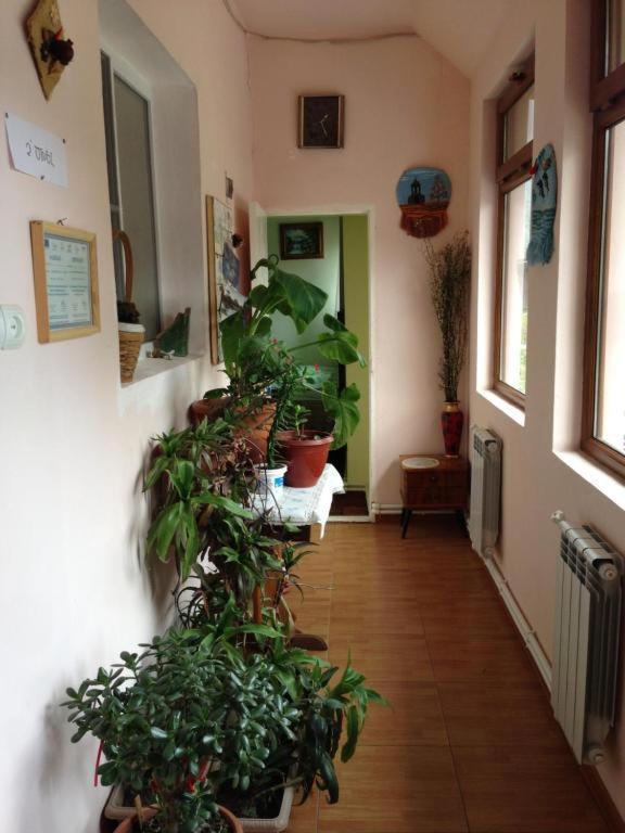 Iris B&B In Debed Canyon Alaverdi Εξωτερικό φωτογραφία
