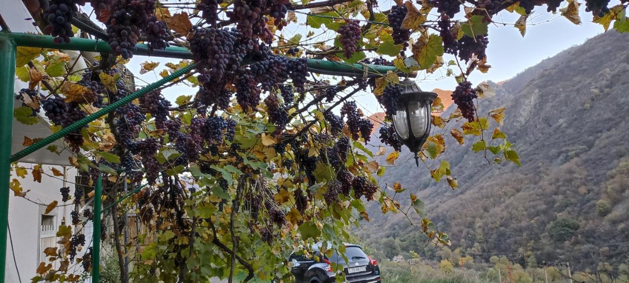 Iris B&B In Debed Canyon Alaverdi Εξωτερικό φωτογραφία