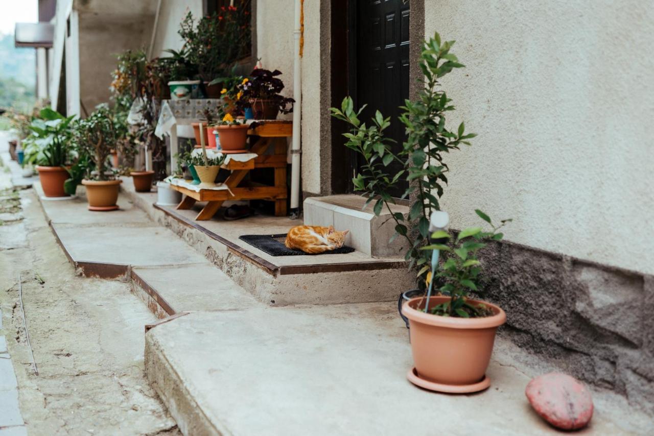Iris B&B In Debed Canyon Alaverdi Εξωτερικό φωτογραφία