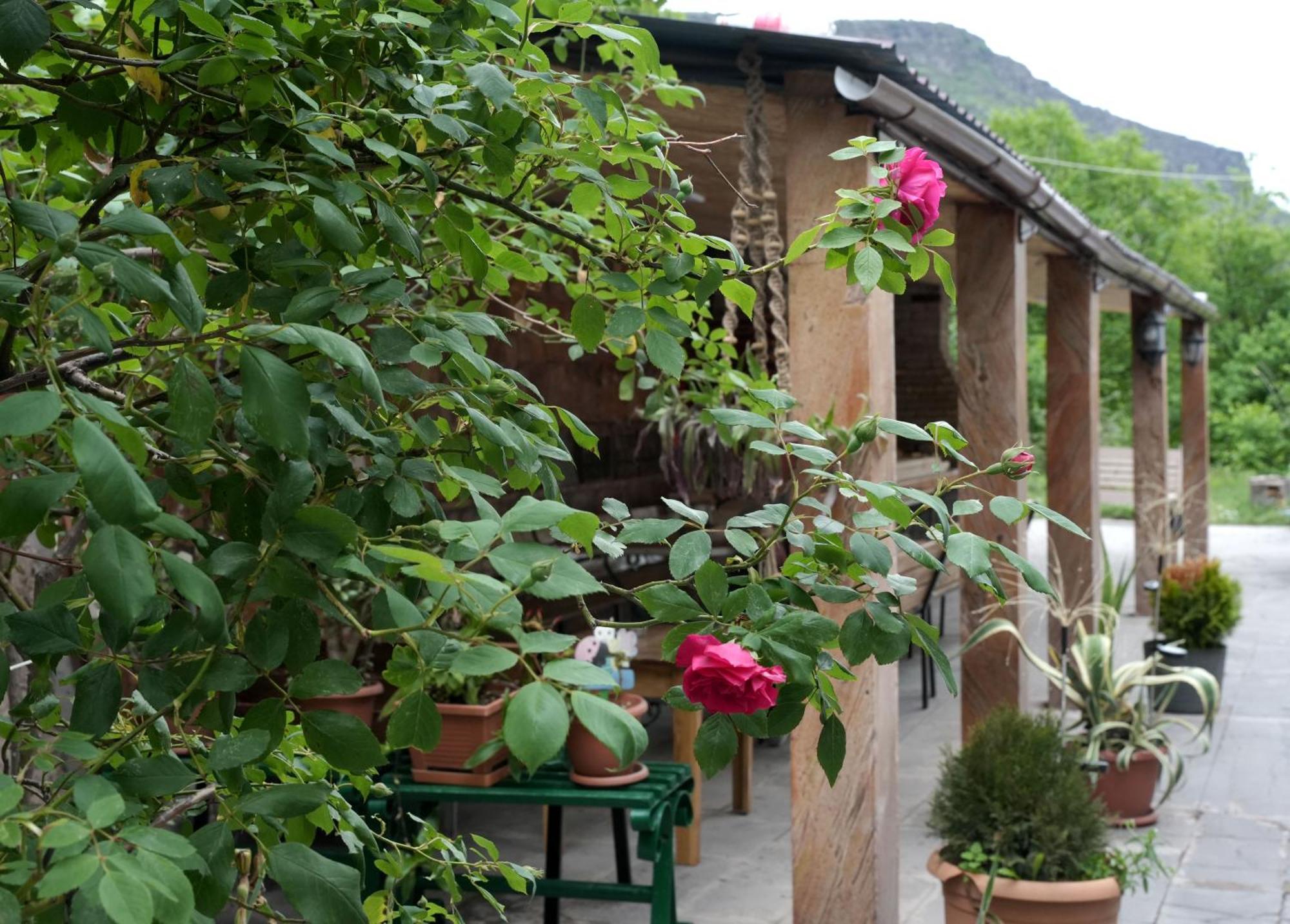 Iris B&B In Debed Canyon Alaverdi Εξωτερικό φωτογραφία