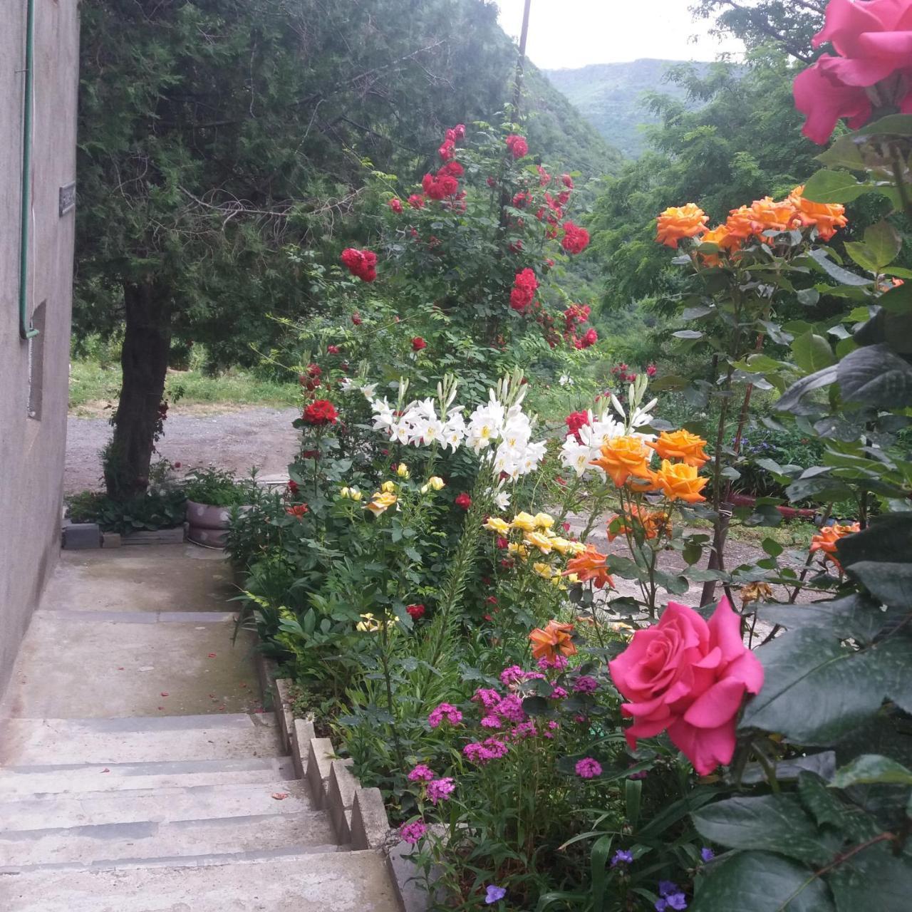 Iris B&B In Debed Canyon Alaverdi Εξωτερικό φωτογραφία