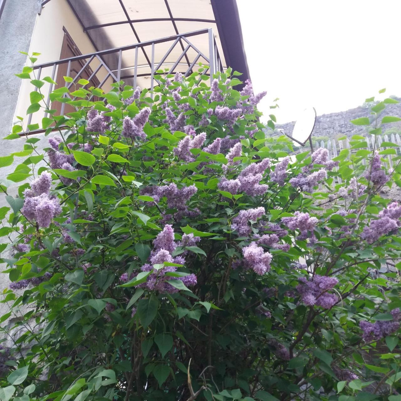 Iris B&B In Debed Canyon Alaverdi Εξωτερικό φωτογραφία