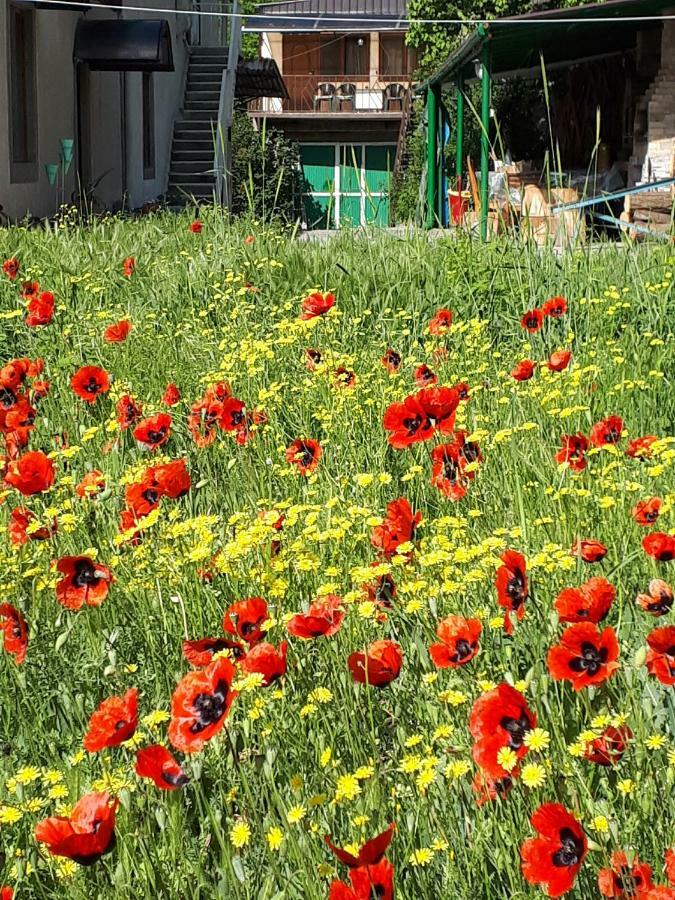 Iris B&B In Debed Canyon Alaverdi Εξωτερικό φωτογραφία
